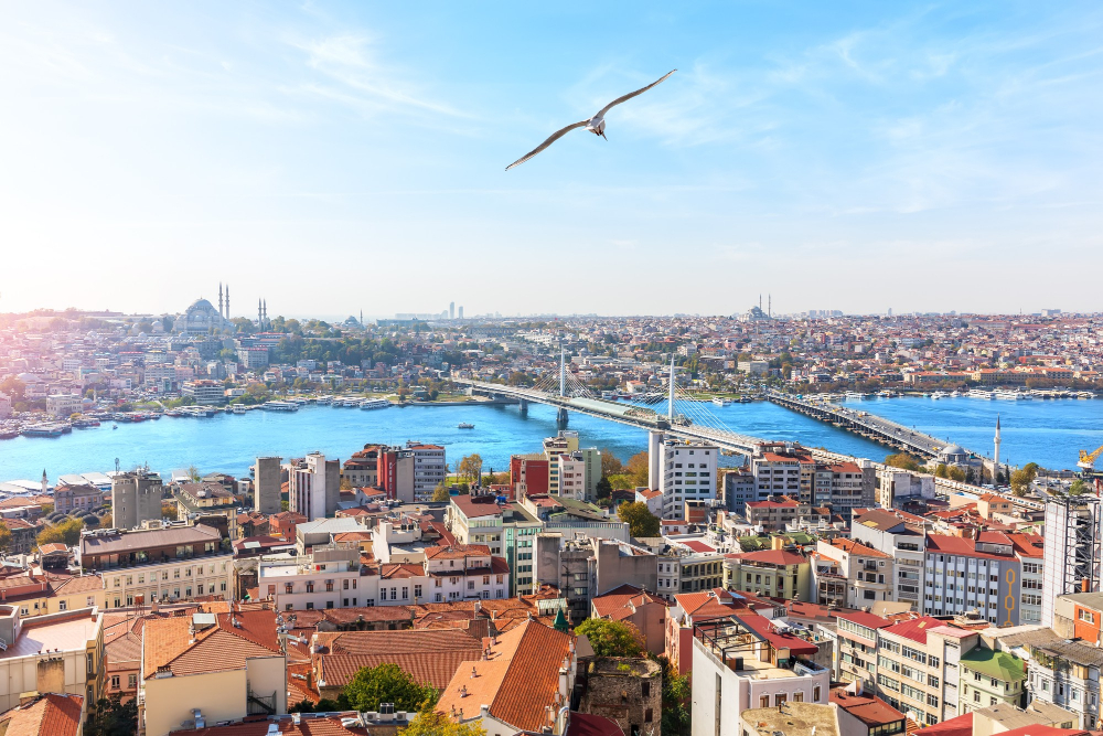 Housing in Istanbul